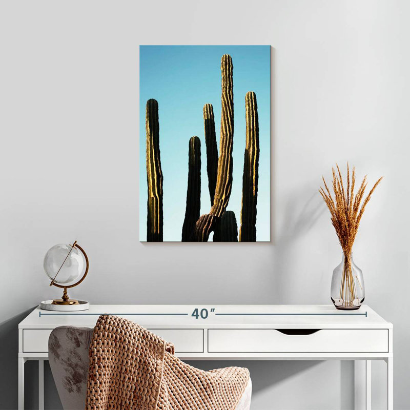 Cactus dorés Harnek, H 24 po x l 16 po