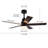48'' Ceiling Fan with LED Lights