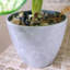 40cm Faux Plant in Planter