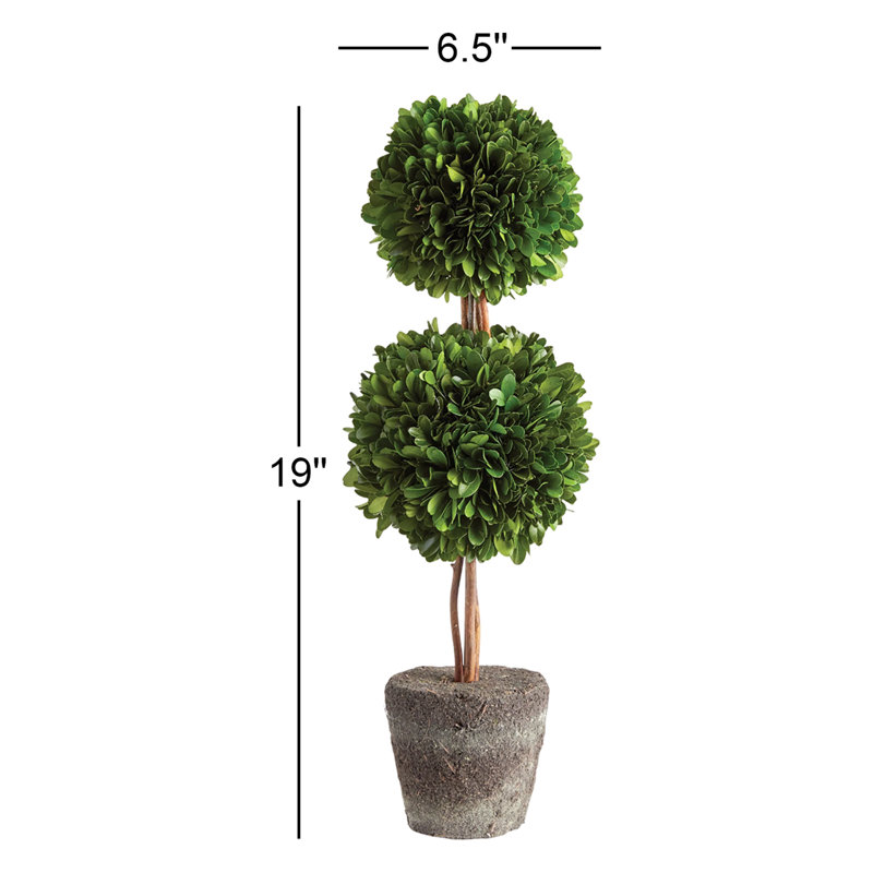 Thisbe Centerpiece in Pot