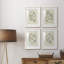 «Soft Shape I», ensemble de 4 reproductions de cadres photo-1393158495-1393158561
