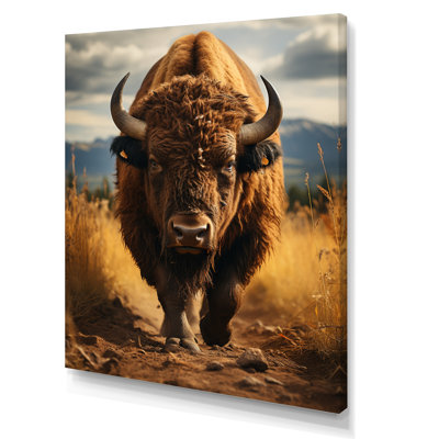 «Bison Portrait in USA II», reproduction d'art