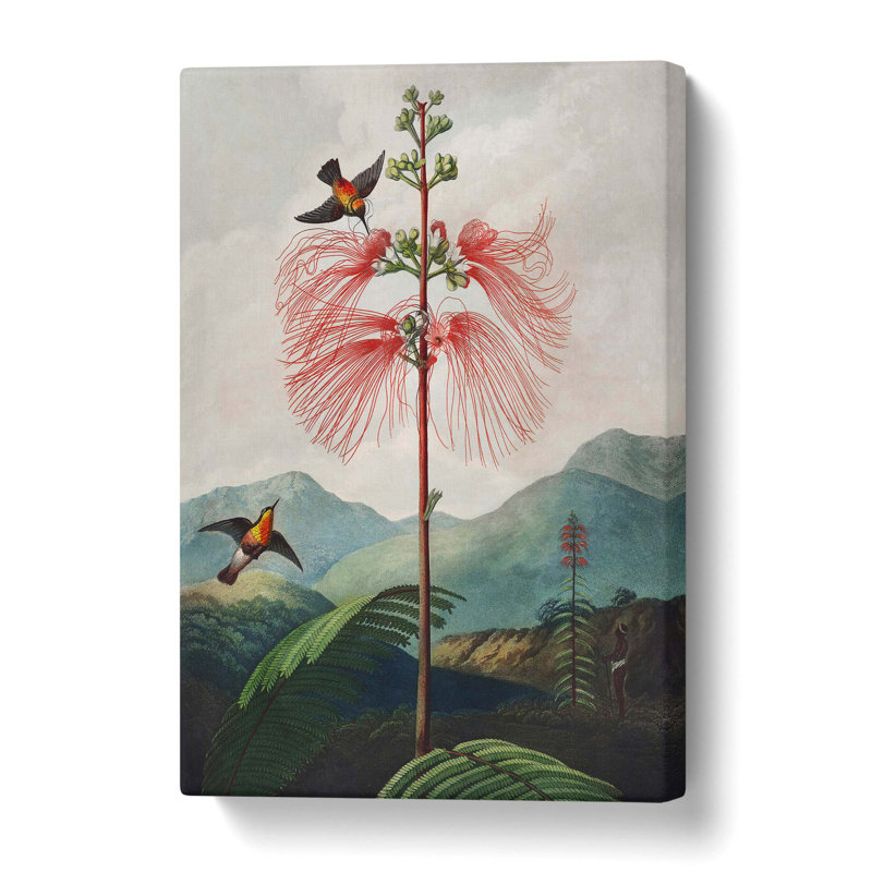Flowering Plant & Birds by R.J. Thornton - Wrapped Canvas, 60 cm H x 40 cm W