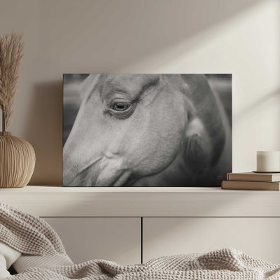 Willow by Nathan Larson Canvas Art Print
