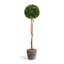 Thisbe Faux Boxwood Topiary in Planter-189621007