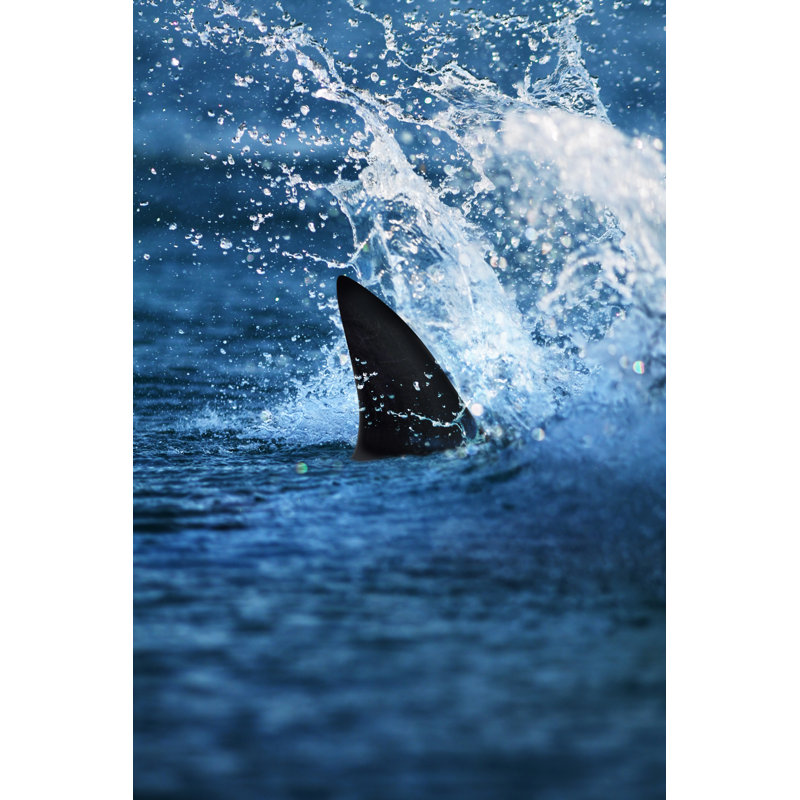 Glimpse Of Big Shark Fin In Splashing Water by Ramihalim - No Frame Art Prints on Canvas, 76cm H x 51cm W