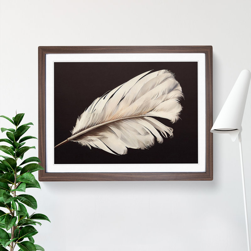 Bird Feather - Single Picture Frame Print, 46cm H x 64cm W x 2cm D, Walnut Framed