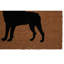 Brandur Outdoor Doormat