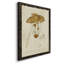 " Mushroom Varieties V "-1388335076