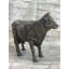 Statue de vache en bronze Arendt