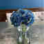 Customer photo 2 of 2