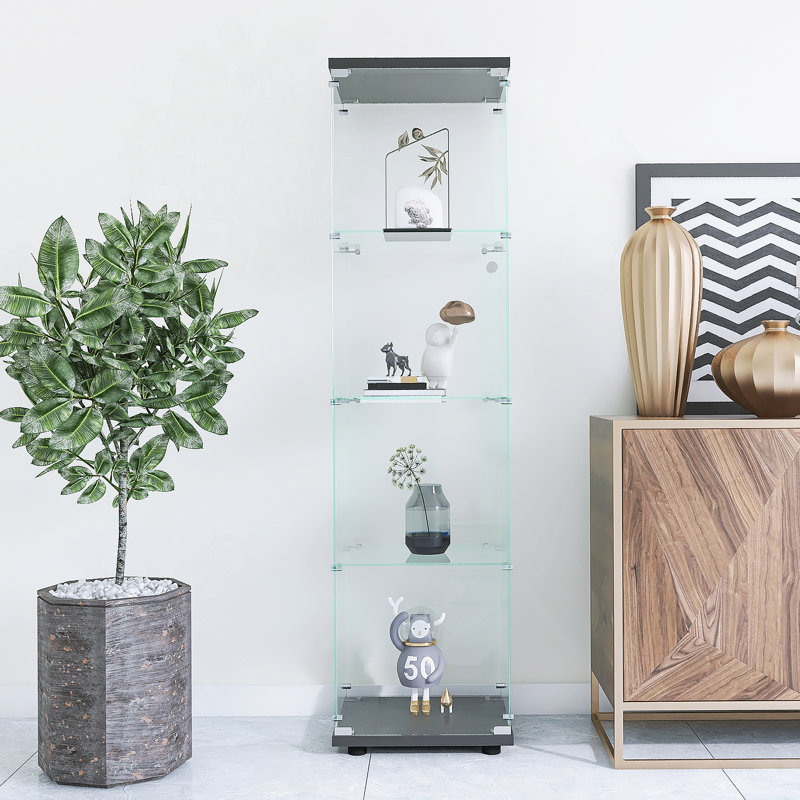 Vitrine en verre 4 tablettes avec porte, bibliothèque Curio, Noir / Transparent
