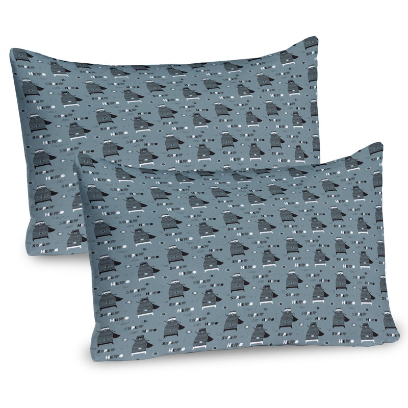 Ensemble de 2 taies décoratives Ambesonne, H 20 po x l 36 po