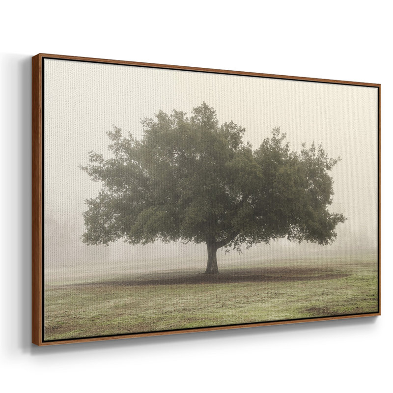 Arbres dans le brouillard II, Toile avec cadre noyer, H 27 po x l 41 po x P 2 po