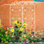 Treillis en métal blanc crème 220 x 50 cm, antirouille, pour support à fleurs d'extérieur, montage facile. Idéal pour le jardin, les ipomées et les volubilis.