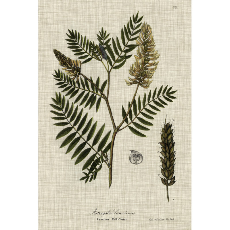 Linen & Leaves III by Vision Studio - Wrapped Canvas Art Prints, 91cm H x 61cm W