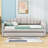 Twin Upholstered Daybed with USB Charging Ports and Trundle-798700813-798700812