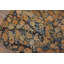 Tapis antique Antique