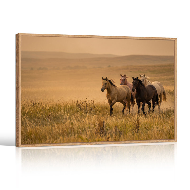 Quatre chevaux qui courent dans un champ doré, art mural, H 24 po x l 36 po