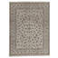 Oriental Area Rug