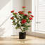 65cm Plant-446146513