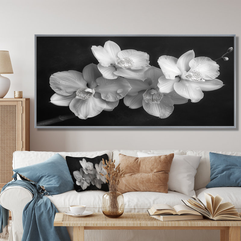 Art botanique noir et orchidées photo II - Orchidées murales, Encadrement argenté, 24" H x 32" W