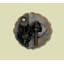 Brass Latch/Catch/Bolt