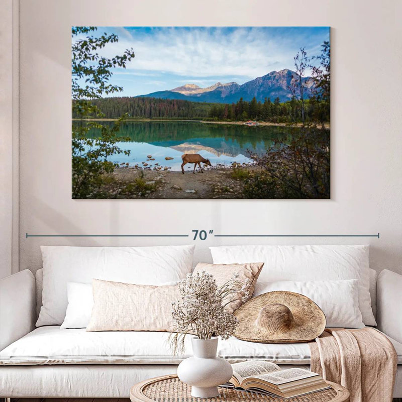 Orignal sauvage du parc Jasper, H 34 po x l 51 po