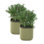Mini pot à fleurs d'extérieur en plastique avec treillis