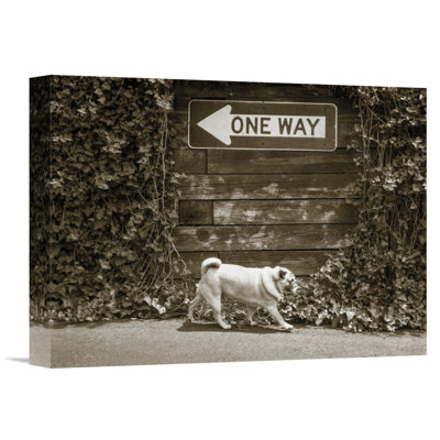" Which Way " by Jim Dratfield