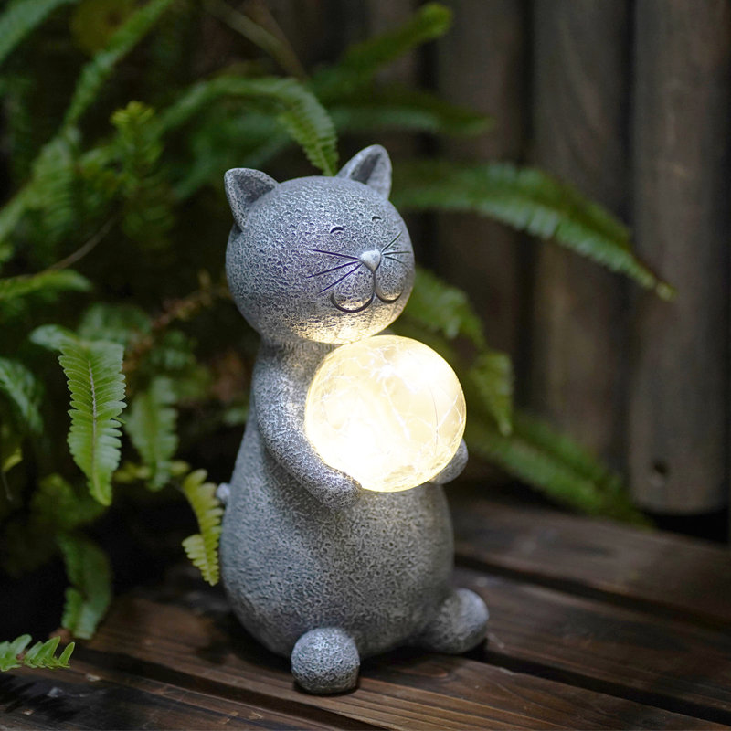 Cat With Solar Ball
