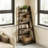 Armisha Ladder Bookcase