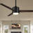Dulac 52'' Ceiling Fan with LED Lights-1753558398