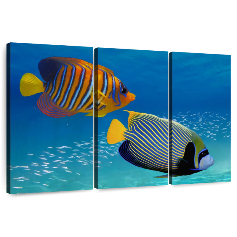 Exotic Emperor Angelfish, 48" H x 74" W