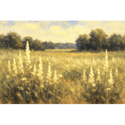 Field of White Wildflowers 1 by Seren
