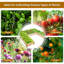 Tavion Wood Raised Garden Bed