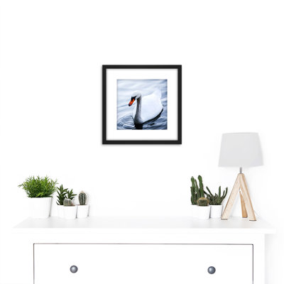 Mute Swan Lake Bird Photo by Feifei - Single Picture Frame Print
