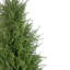 5'' Artificial Cedar Pine Arborvitae Tree In Urn Style Pot  Unlit