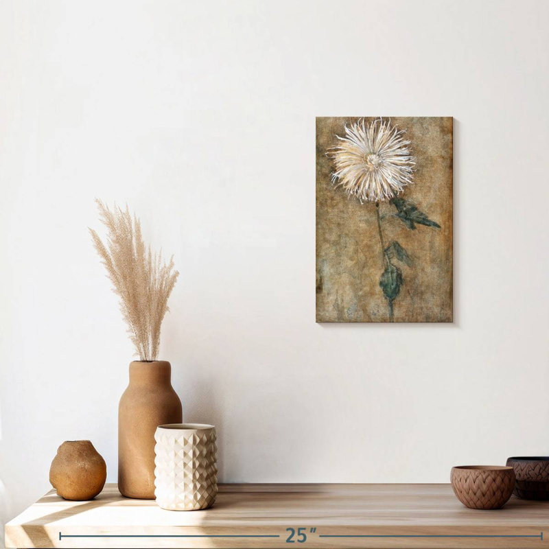 Chrysanthème 1900, H 12 po x l 8 po