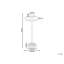 SWALLOW Iron Birdbath