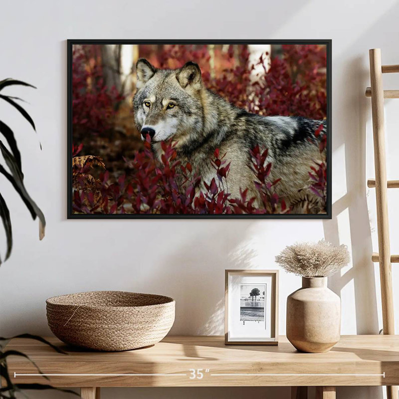Loup caché, 25 po x 17 po, Cadre flottant noir
