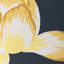 Lotus Pond Wp - Noir-595335128