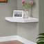 Antaneisha Floating Shelf