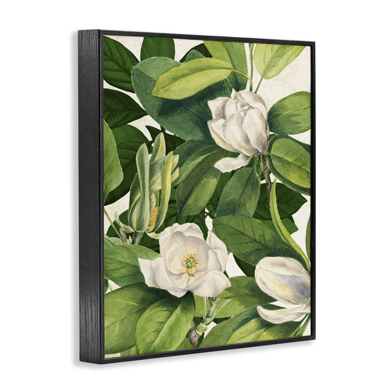 «Giclee Art» par Susan Arnot, H 20 po x l 16 po, Giclée encadrée noir minuit