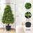 Artificial Topiary Boxwood Tree, Faux Shrub in Black Plastic Pot-585521581-565058097