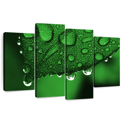 Gouttes de pluie Harnek