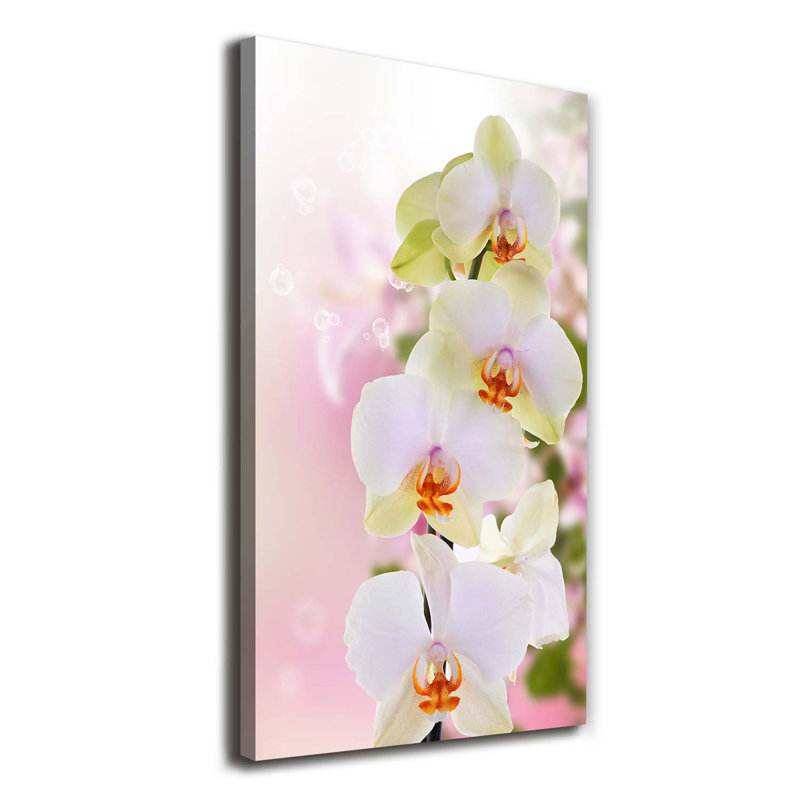 White Orchid - Wrapped Canvas Print