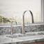 Transitional Beverage Faucet-1110443274
