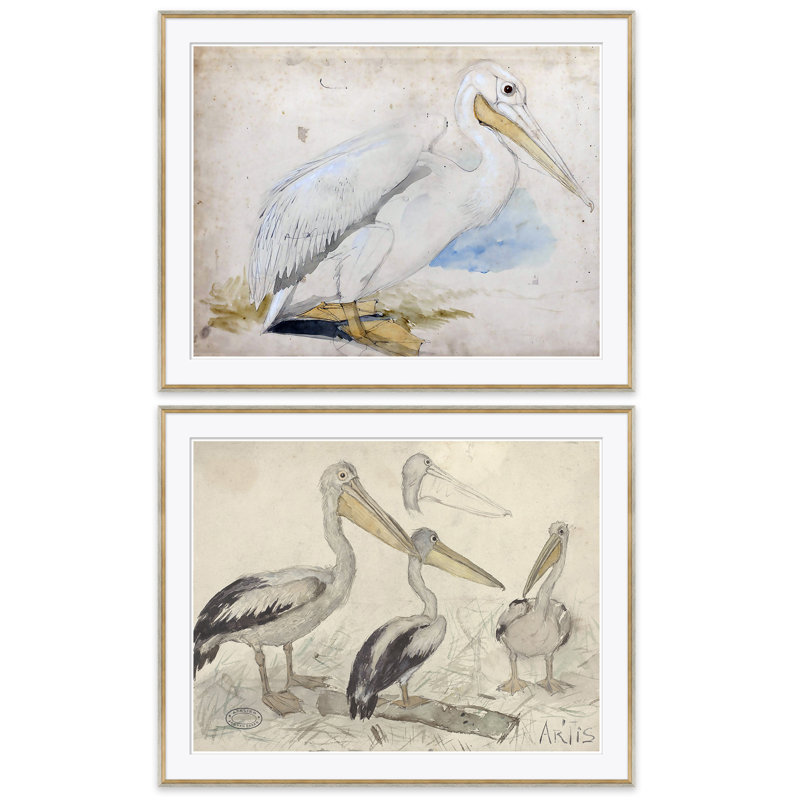 Sea Birds Giclee Print by Soicher Marin Archives