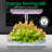 SereneLife 24 Watt Grow Light
